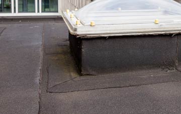 disadvantages of Old Netley flat roofs