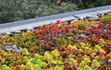 the cost of Old Netley green roof installation
