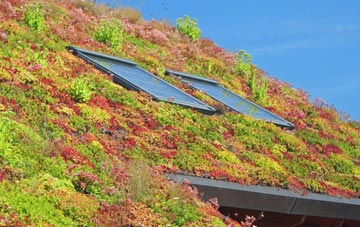 Old Netley living roof systems
