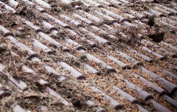 Old Netley roof cleaning companies