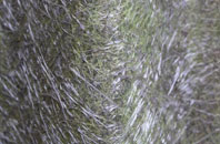 Old Netley fibreglass roof work